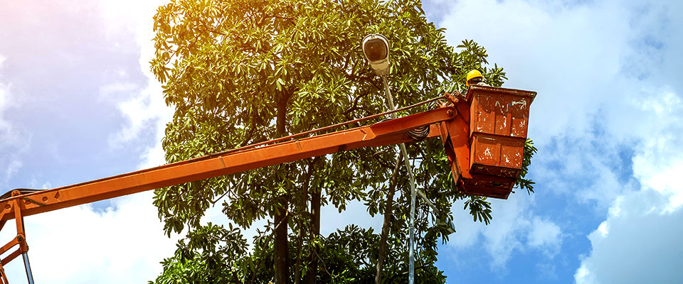 The Importance of Regular Light Pole Inspections